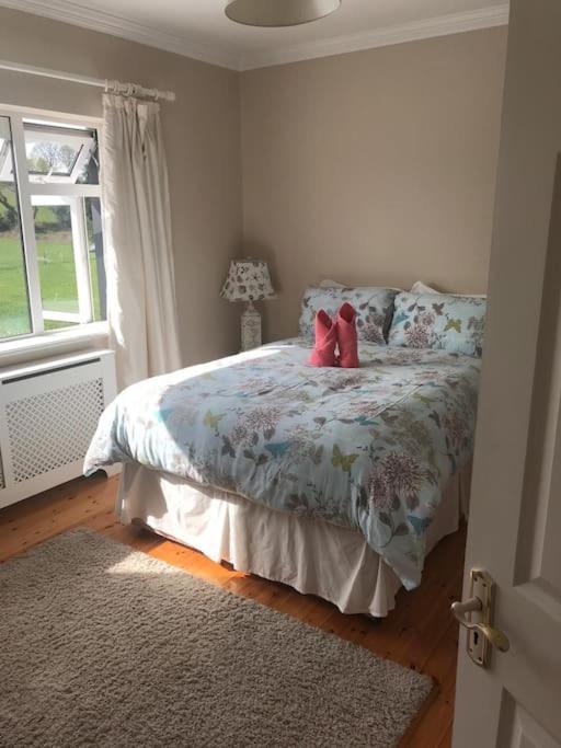 Killarney Farm House. Extérieur photo